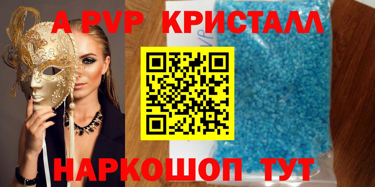 Alfa_PVP СК Кингисепп