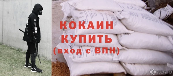 ALPHA PVP Каменка