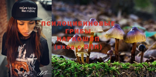 дистиллят марихуана Каменногорск