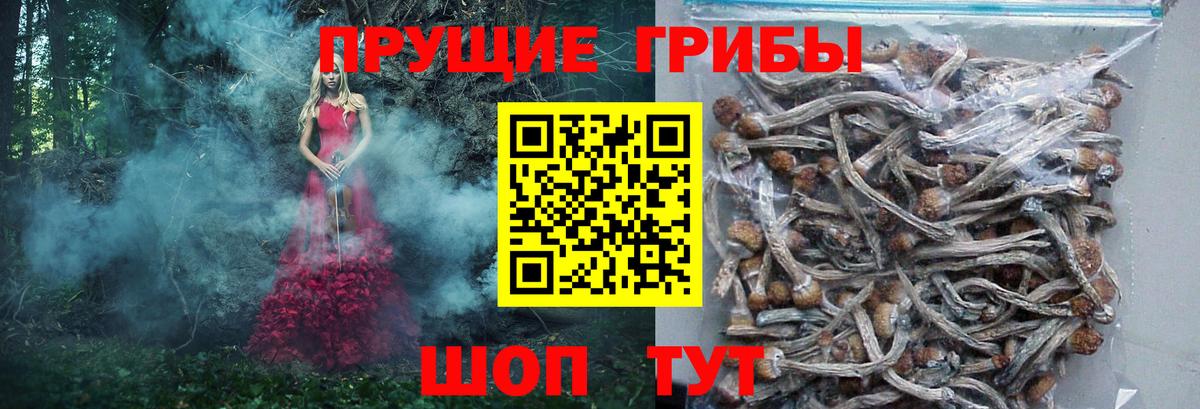 Псилоцибиновые грибы Magic Shrooms Кингисепп